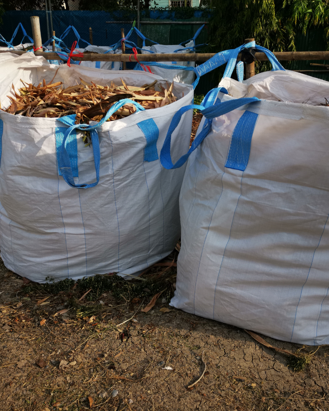 Dogo BigBag - Feed (1080 x 1350 px) (2)