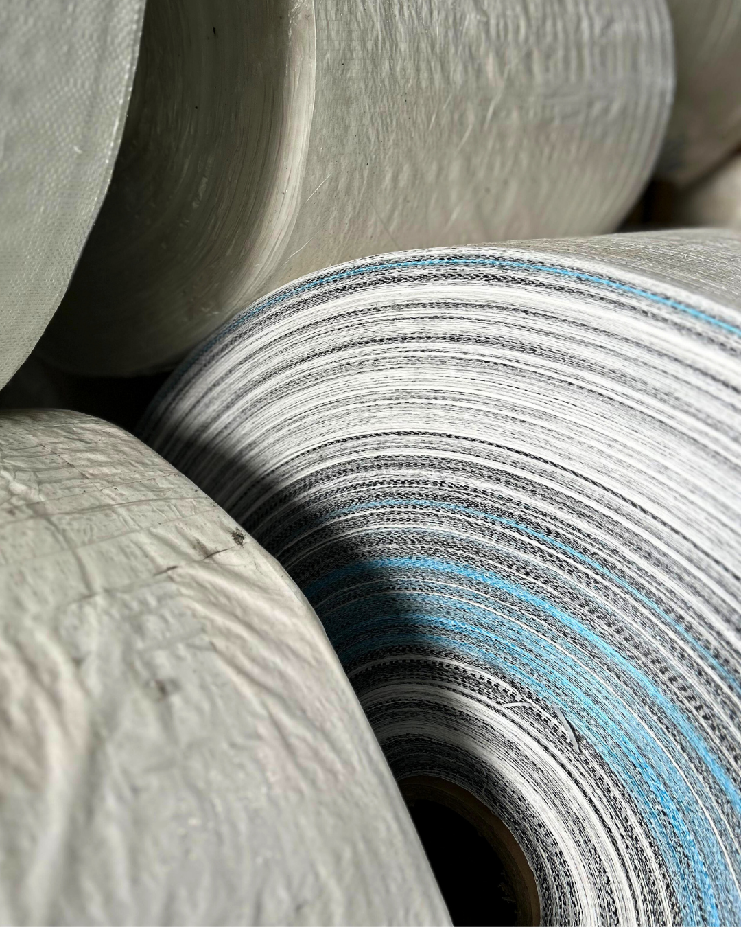 carossel imagens Dogo (10)