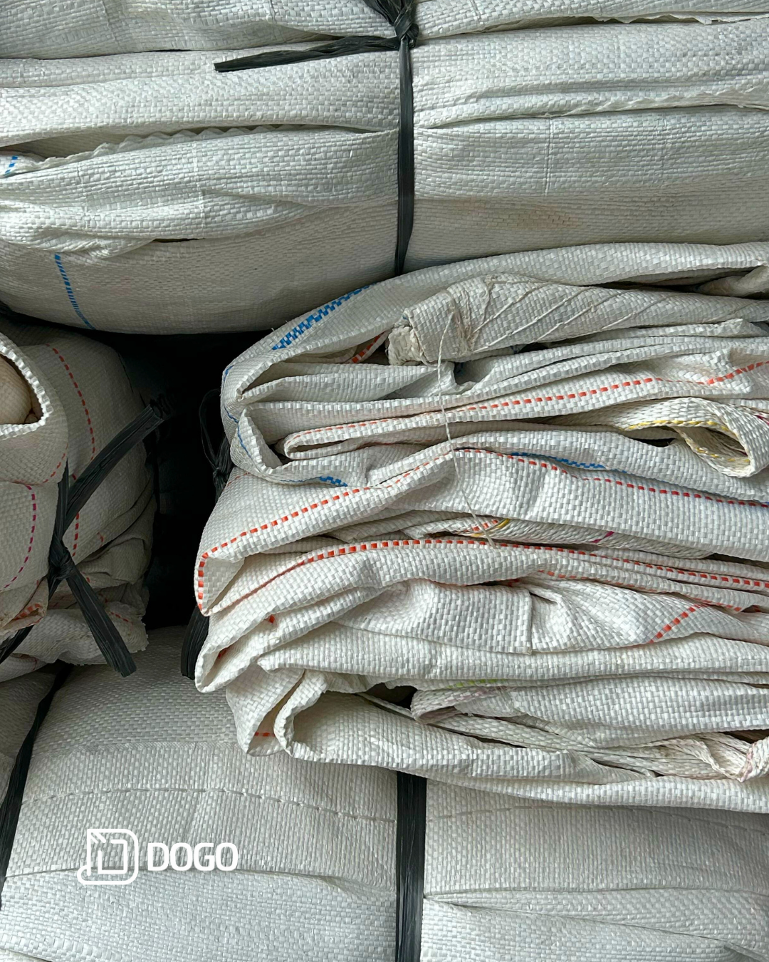 carossel imagens Dogo (4)