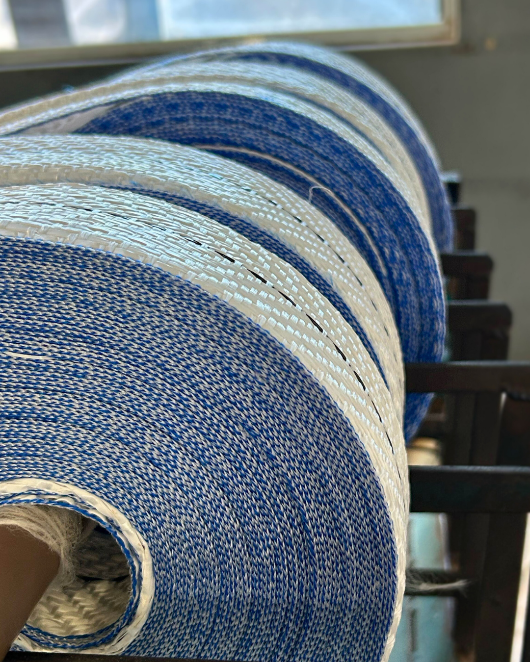 carossel imagens Dogo (7)